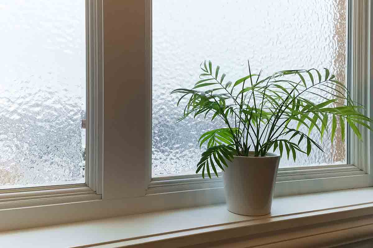 Safety First Window Covering Options for Security & Privacy Best